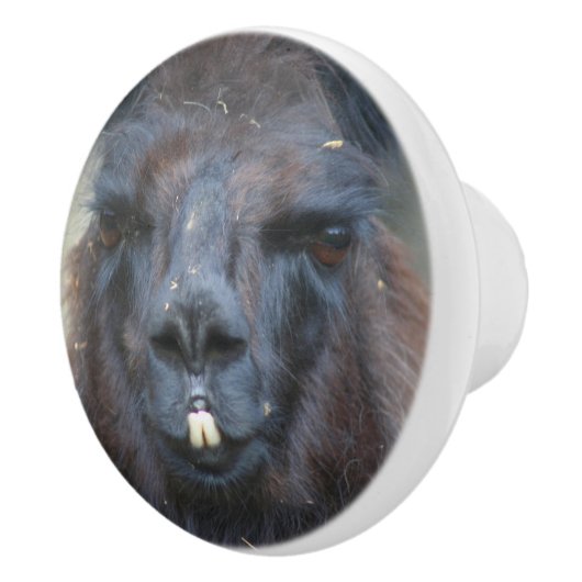 Intense Black Llama Face Sluiten Keramische Knop (Rechts)