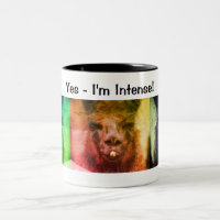 Intense Black Llama Funny Animal