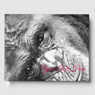 Intense blik gastenboek