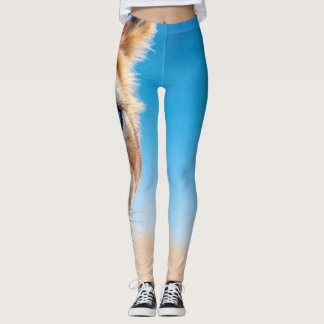 Intense Blue Eyed Lion Desert Horizon Art Wrap Leggings
