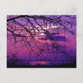 Intense en levendige - Paarse zonnelandschap Briefkaart (Voorkant)