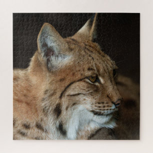Intense Gaze: Close-up van een Lynx Legpuzzel