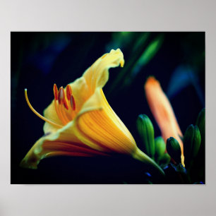 Intense gele Lily Flower Poster