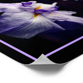 Intense japans iris bloem close up Abstract Poster (Hoek)