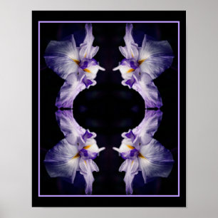 Intense japans iris bloem close up Abstract Poster