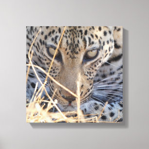 INTENSE LUIPAARD OGEN CLOSE-UP CANVAS AFDRUK