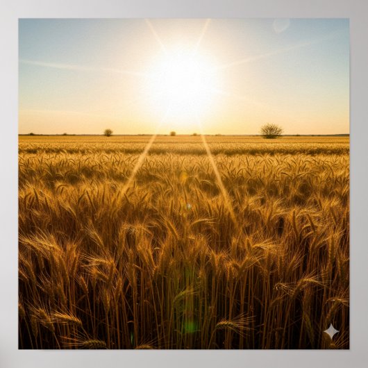 Intense middagzon poster (Voorkant)