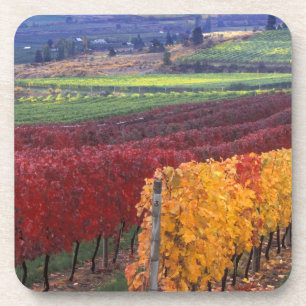 Intense rode en gele valkleuren op Gehring Drankjes Onderzetter