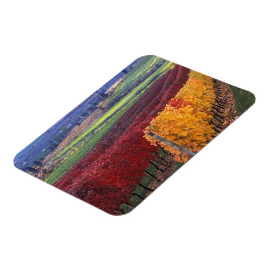 Intense rode en gele valkleuren op Gehring Magneet (Linkerzijde)