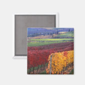 Intense rode en gele valkleuren op Gehring Magneet (Voorkant / Achterkant)