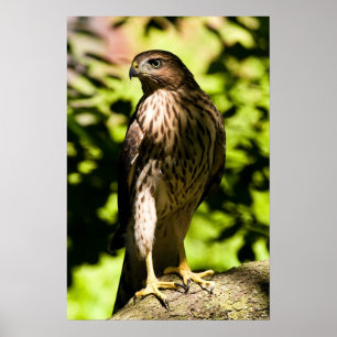 Intense stress poster