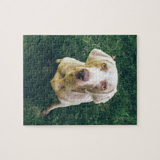 Intense Weimaraner Legpuzzel (Horizontaal)