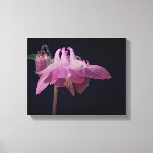 Intensieve roze Kolomventilator Sluiten Canvas Afdruk (Voorkant)