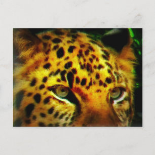 Intensieve Wilde Kattenglimlach Jungle Wildlife Ku Briefkaart