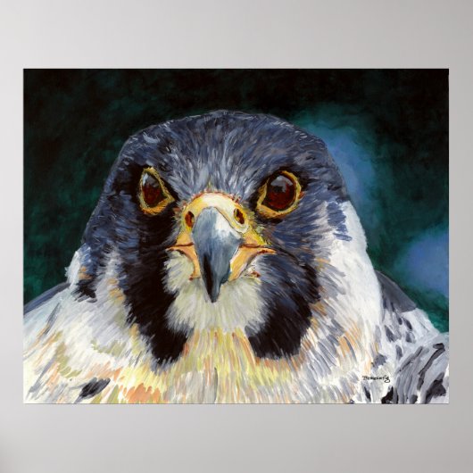 Intensiteit - de smog van de valk poster (Voorkant)