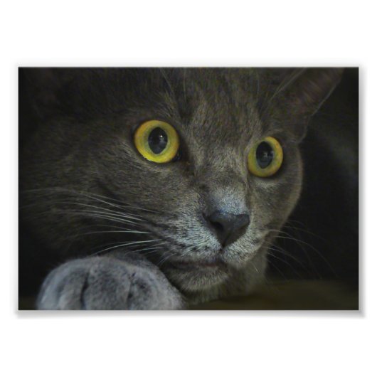 Intensiteit Fotoafdrukken Foto Afdruk (Voorkant)