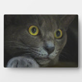 Intensiteit Fotoplaque Fotoplaat (voorkant)