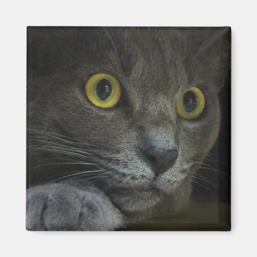 Intensiteitsmagneet Magneet (Voorkant)