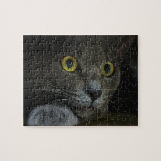 Intensiteitspuzzel Legpuzzel (Horizontaal)