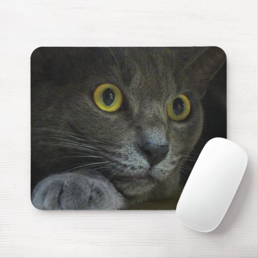 Intensity Mousepad Muismat (Met muis)