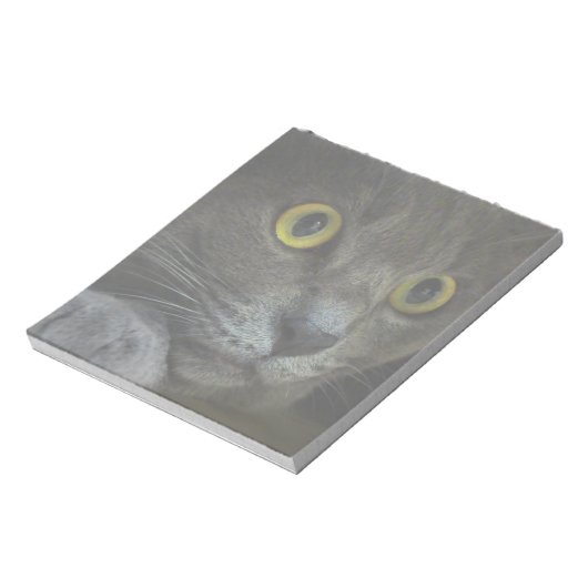 Intensity-notebook Notitieblok (Gedraaid)