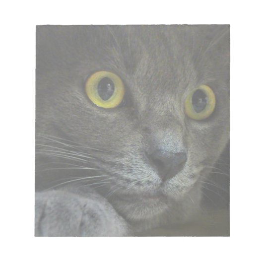 Intensity-notebook Notitieblok (Voorkant)