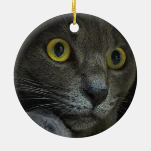 Intensity Ornament (Achterkant)