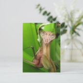 Intent Mantis ~ briefkaart (Staand voorkant)
