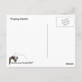 Intent Mantis ~ carte postale (Dos)