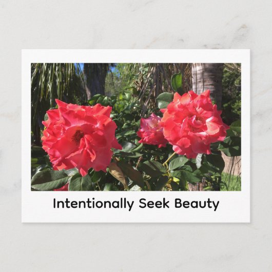 Intentionally Seek Beauty Briefkaart (Voorkant)