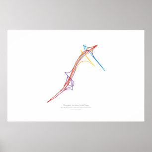 Interchange Choreografie: Shreveport, LA, VS 1 Poster