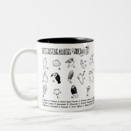 Interessant beheert mok