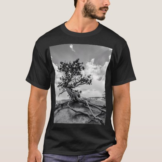 Interessante dennenboom op Queens Garden Trail T-shirt (Voorkant)