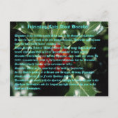 interessante feiten over december briefkaart (Voorkant)