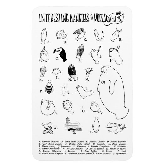 Interessante Manatees magneet (Verticaal)