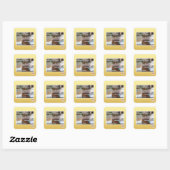 Interessante sites vierkante sticker (Vel)