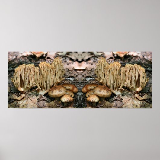 Interessante Wild Mushrooms Mirror Abstract Poster (Voorkant)