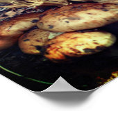 Interessante wilde paddenstoelen poster (Hoek)