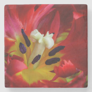 Interieur van papegaai tulp bloem stenen onderzetter