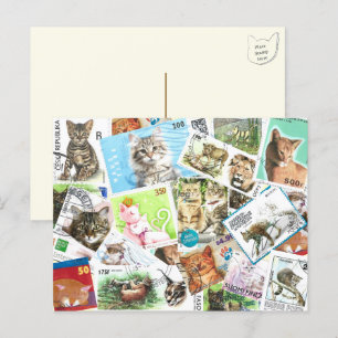 internationaal Briefkaart voor postzegels voor kat