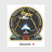 International Space Station Expedition ISS-25 Sticker (Vel)