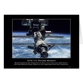 International Space Stationview van NASA STS-111
