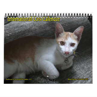 Internationale Cats Kalender