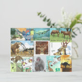 internationale collage van postzegels voor dieren (Staand voorkant)