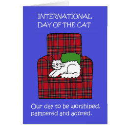 Internationale dag van de kat augustus