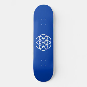 Internationale vlag van planeet aarde skateboard