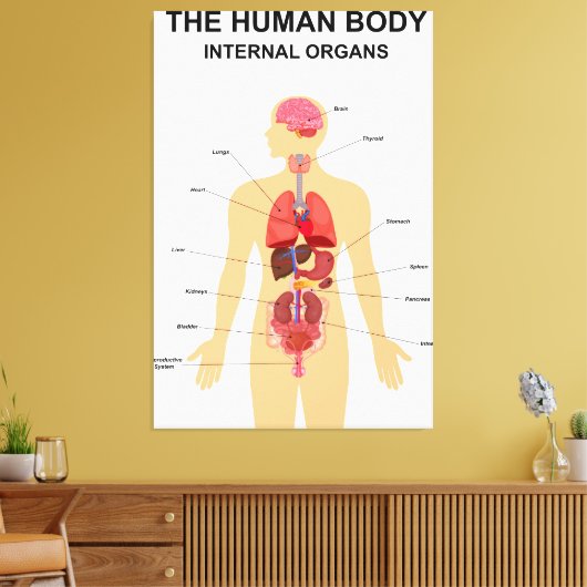 Interne organen van het menselijk lichaam canvas afdruk (Insitu (Woonkamer))