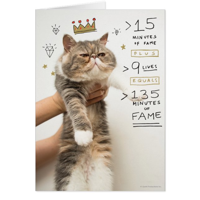 Internetkat-feestelijkheid (Voorkant)