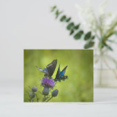 Intertwind Briefkaart (Staand voorkant)