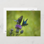 Intertwind Briefkaart (Voorkant / Achterkant)